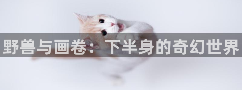好看的韩国漫画歪歪漫画网：野兽与画卷：下半身的奇幻世界