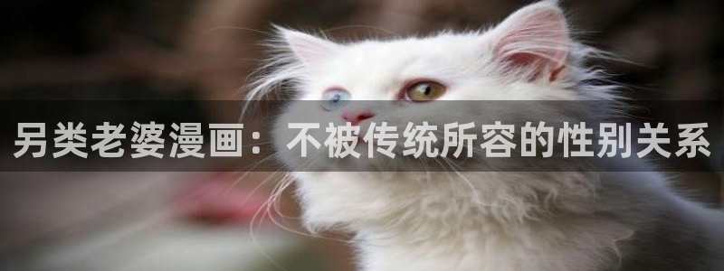 歪歪漫画 韩：另类老婆漫画：不被传统所容的性别关系